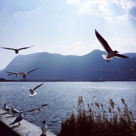 NG电子游戏